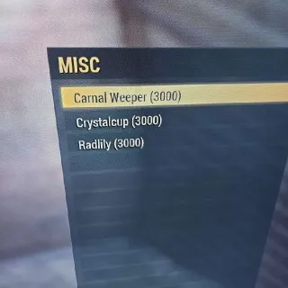 9000 Big Bloom Flowers