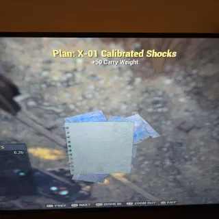 X-01 Calibrated Shocks