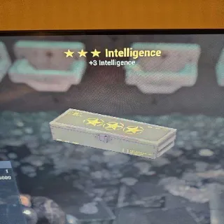 3* Intelligence Mod