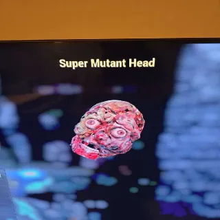 Super Mutant Head Misc