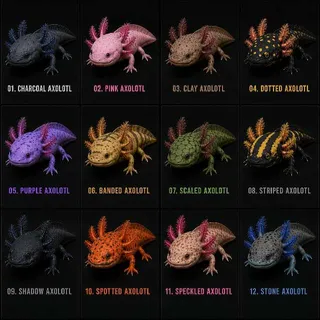 All 12 Axolotls (Fast Delivery)