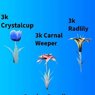 9000 Big Bloom Flowers