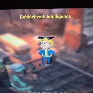 x100 Intelligence Bobble