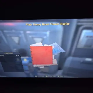 Honey Beast Flower Display
