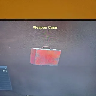Weapon Case