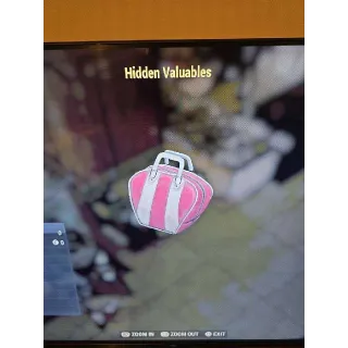Hidden Valuables Misc