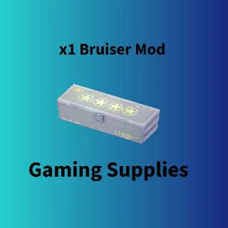 x1 Bruiser Mod