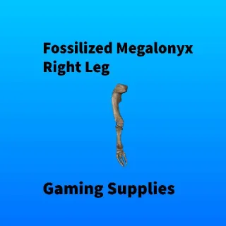 Fossilized Megalonyx Right Leg