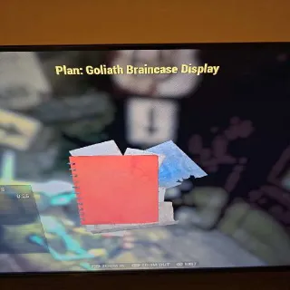 Goliath Braincase Displa