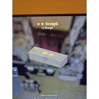 x5 Strength Mod (2 Star)