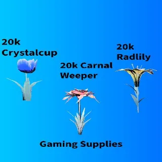 60k Big Bloom Flowers