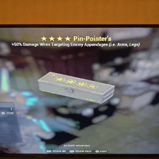 Pin Pointer Mod