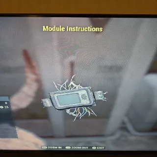Module Instructions