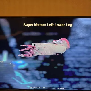 Super Mutant Left Leg