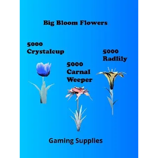 15000 Big Bloom Flowers