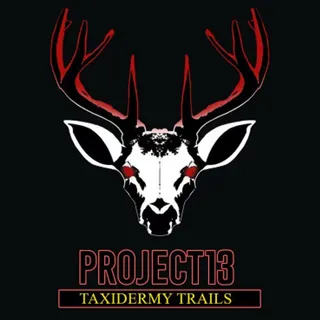 Project 13: Taxidermy Trails  - Switch NA - Full Game - Instant