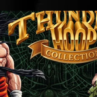 Thunder Hoop Collection (QUByte Classics) (Playable Now) - Steam Global - Full Game - Instant