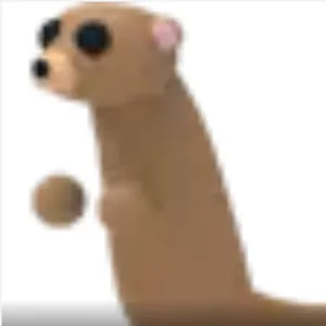 MEERKAT FR