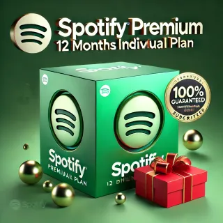 12 Month - Spotify Premium individual plan