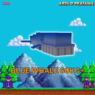 Blue Whale 60kg