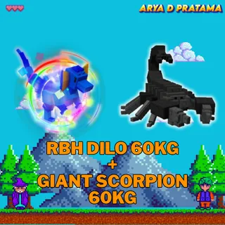 RBH DILO 60kg + GIANT SCORPION 60kg