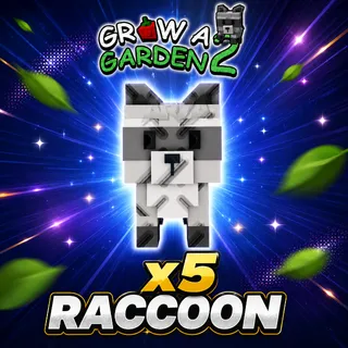 x5 Raccoon
