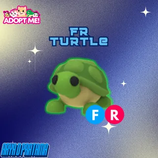 Fr Turtle