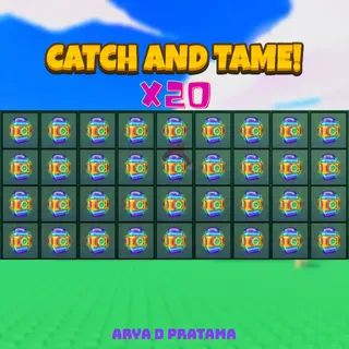 Stitched Egg x20 | Catch and Tame