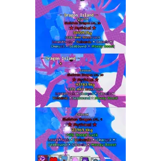 X3 COLOSSAL SKELETON DRAGON - CATCH AND TAME!