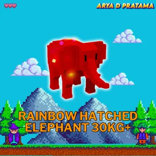 Rbh Elephant 30kg+