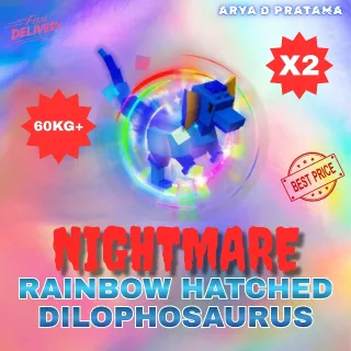 X2 RAINBOW HATCHED DILOPHOSAURUS 60KG+