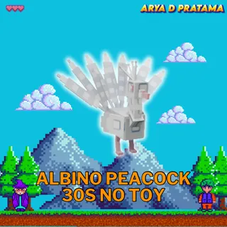 Albino Peacock 30 sec No Toy