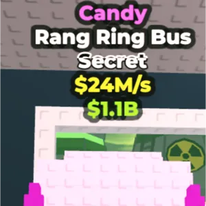 Candy Rang Ring Bus