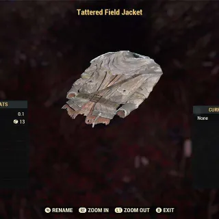 Tattered Field Jacket