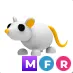 Mfr Golden Rat