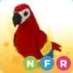 Nfr Parrot
