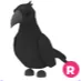 Ride Crow