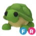 Fr Turtle