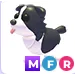 Mfr Border Collie