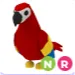 Nr Parrot