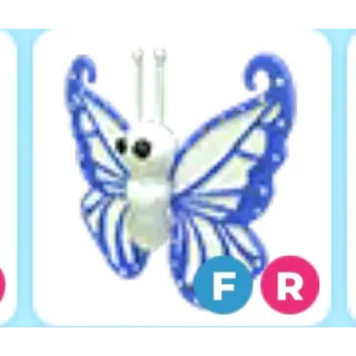 Fr Diamond Butterfly