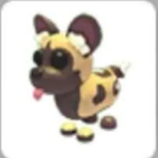 No Pot African Wild Dog