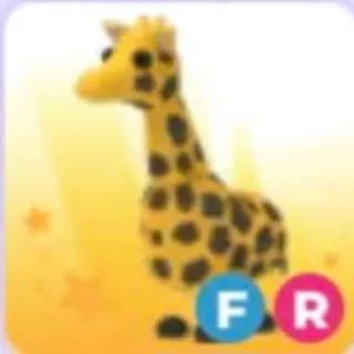 Fr Giraffe