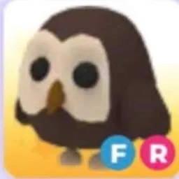 Fr Owl