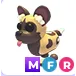 Mfr Wild Dog