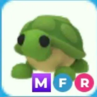 Mfr Turtle