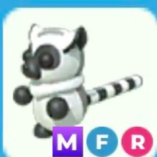 Mfr Ring Tailed Lemur