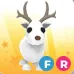 Fr Arctic Reindeer