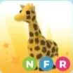 Nfr Giraffe