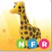 Nfr Giraffe
